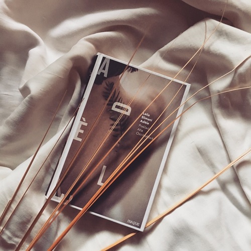 Leila Slimani – Adéle